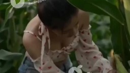 鄉村愛情之騷婦秀雲-EP6