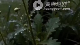 花田裡犯的錯第二部-EP7